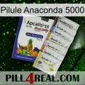 Anaconda 5000 Pill 11